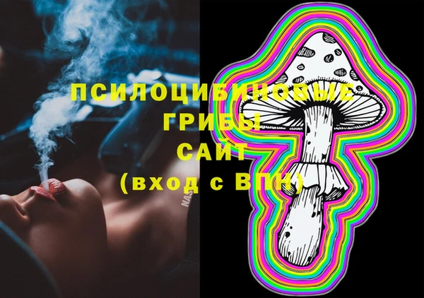 прущие крисы Алексин